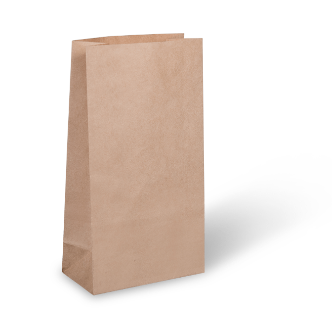 Brown Paper Bag 