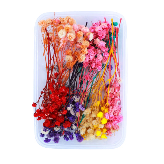 Assorted Color Baby's Breath Flowers (Naturally Preserved | Dried) (Epoxy Resin | Candles | UV Resin | Craft)