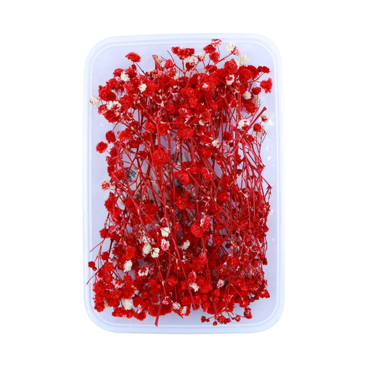 Red Baby's Breath Flowers (Naturally Preserved | Dried) (Epoxy Resin | Candles | UV Resin | Craft)