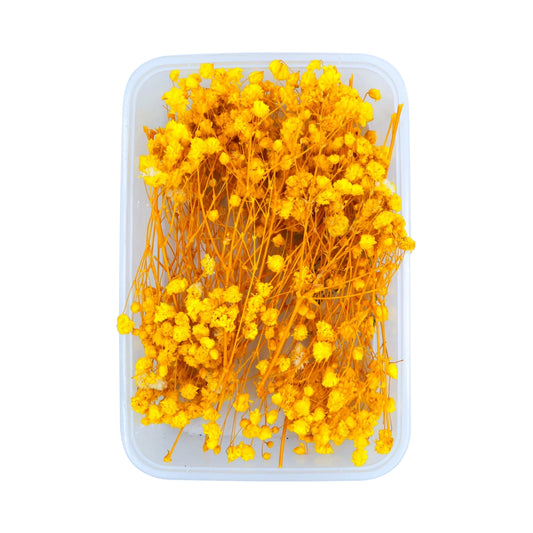 Yellow Baby's Breath Flowers (Naturally Preserved | Dried) (Epoxy Resin | Candles | UV Resin | Craft)