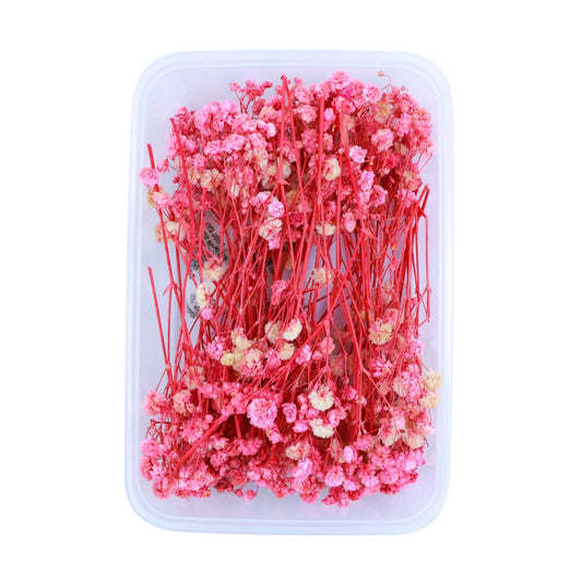 Pink Baby's Breath Flowers (Naturally Preserved | Dried) (Epoxy Resin | Candles | UV Resin | Craft)