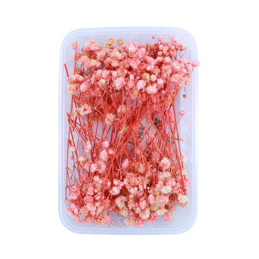 Peach Baby's Breath Flowers (Naturally Preserved | Dried) (Epoxy Resin | Candles | UV Resin | Craft)