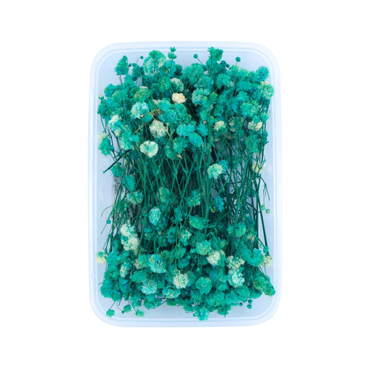 Green Baby's Breath Flowers (Naturally Preserved | Dried) (Epoxy Resin | Candles | UV Resin | Craft)