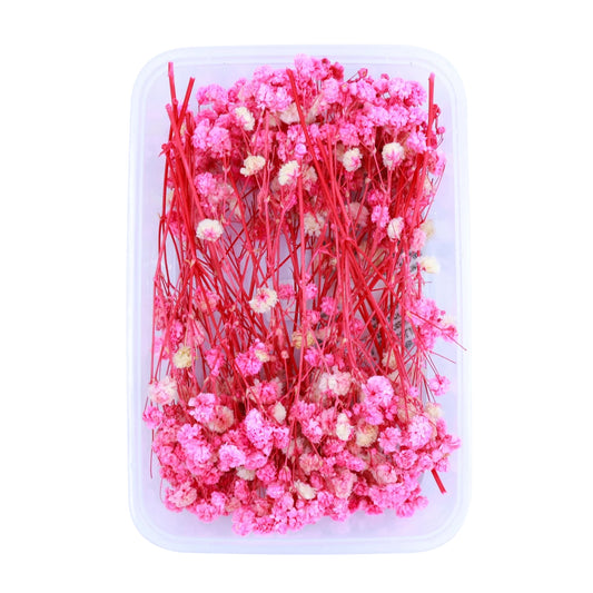 Rani Baby's Breath Flowers (Naturally Preserved | Dried) (Epoxy Resin | Candles | UV Resin | Craft)