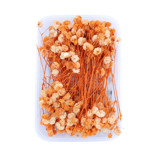 Orange Baby's Breath Flowers (Naturally Preserved | Dried) (Epoxy Resin | Candles | UV Resin | Craft)