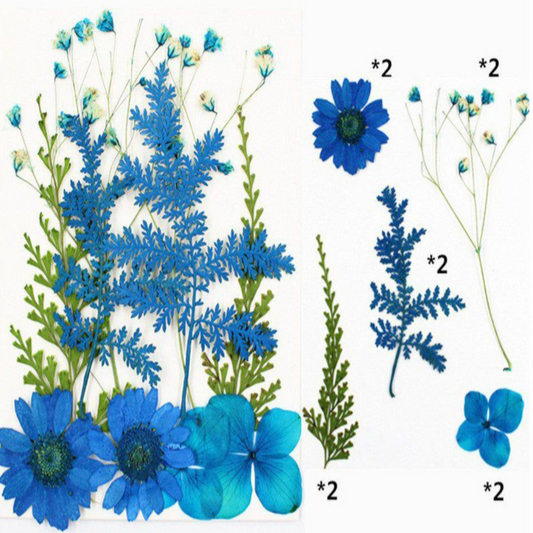 Blue & Green Assorted Flowers & Leaves (Naturally Preserved | Dried | Pressed) (Epoxy Resin | Candles | UV Resin | Craft)