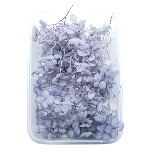 Blue Hydrangea Flowers (Naturally Preserved | Dried) (Epoxy Resin | Candles | UV Resin | Craft)