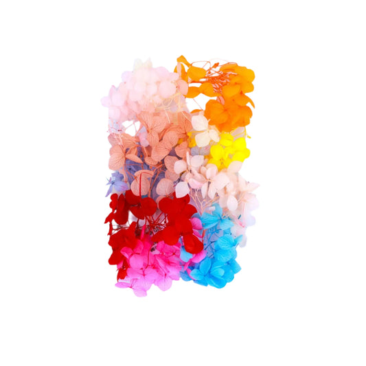 Assorted Color Hydrangea Flowers (Naturally Preserved | Dried) (Epoxy Resin | Candles | UV Resin | Craft)