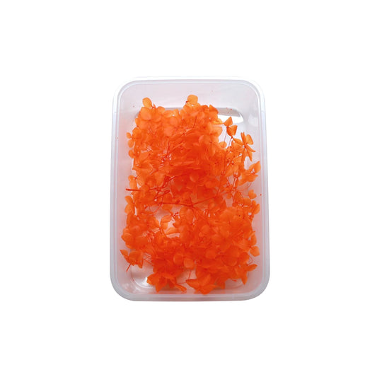 Orange Hydrangea Flowers (Naturally Preserved | Dried) (Epoxy Resin | Candles | UV Resin | Craft)