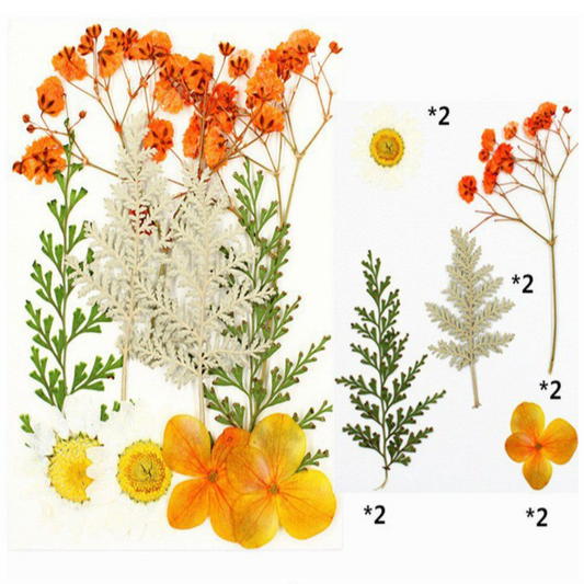 Orange, White & Green Assorted Flowers & Leaves (Naturally Preserved | Dried | Pressed) (Epoxy Resin | Candles | UV Resin | Craft)