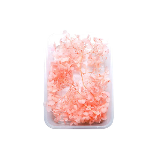 Peach Hydrangea Flowers (Naturally Preserved | Dried) (Epoxy Resin | Candles | UV Resin | Craft)