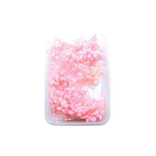 Baby Pink Hydrangea Flowers (Naturally Preserved | Dried) (Epoxy Resin | Candles | UV Resin | Craft)