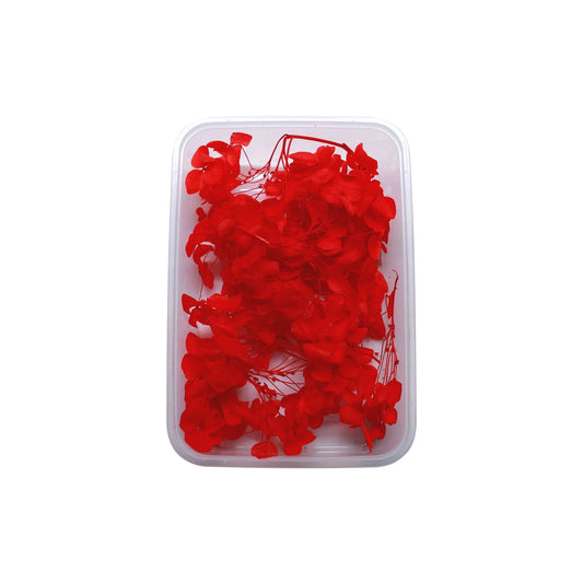 Red Hydrangea Flowers (Naturally Preserved | Dried) (Epoxy Resin | Candles | UV Resin | Craft)