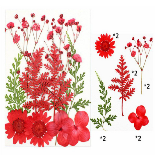 Red & Green Assorted Flowers & Leaves (Naturally Preserved | Dried | Pressed) (Epoxy Resin | Candles | UV Resin | Craft)