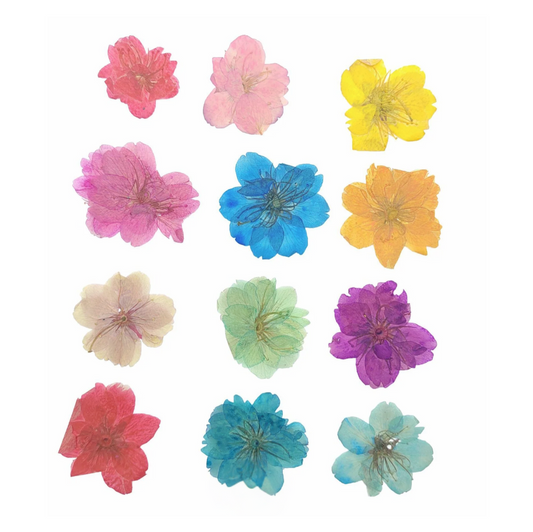 12 in 1 Multicolored Cherry Blossom Flowers (Naturally Preserved | Dried | Pressed) (Epoxy Resin | Candles | UV Resin | Craft)