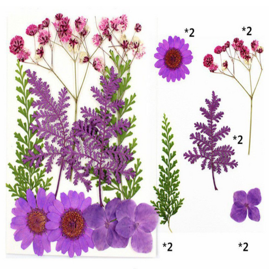 Violet & Green Assorted Flowers & Leaves (Naturally Preserved | Dried | Pressed) (Epoxy Resin | Candles | UV Resin | Craft)