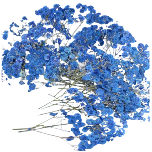 Royal Blue Baby's Breath Flowers (Naturally Preserved | Dried | Pressed) (Epoxy Resin | Candles | UV Resin | Craft)