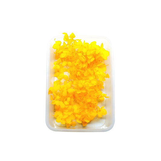 Yellow Hydrangea Flowers (Naturally Preserved | Dried) (Epoxy Resin | Candles | UV Resin | Craft)