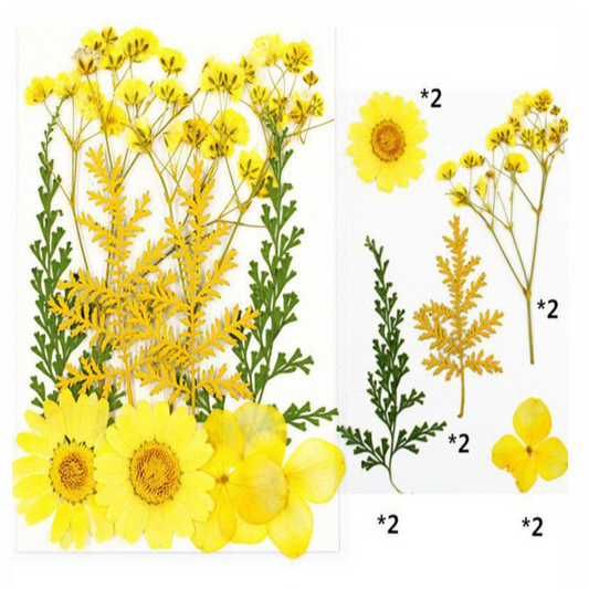Yellow & Green Assorted Flowers & Leaves (Naturally Preserved | Dried | Pressed) (Epoxy Resin | Candles | UV Resin | Craft)