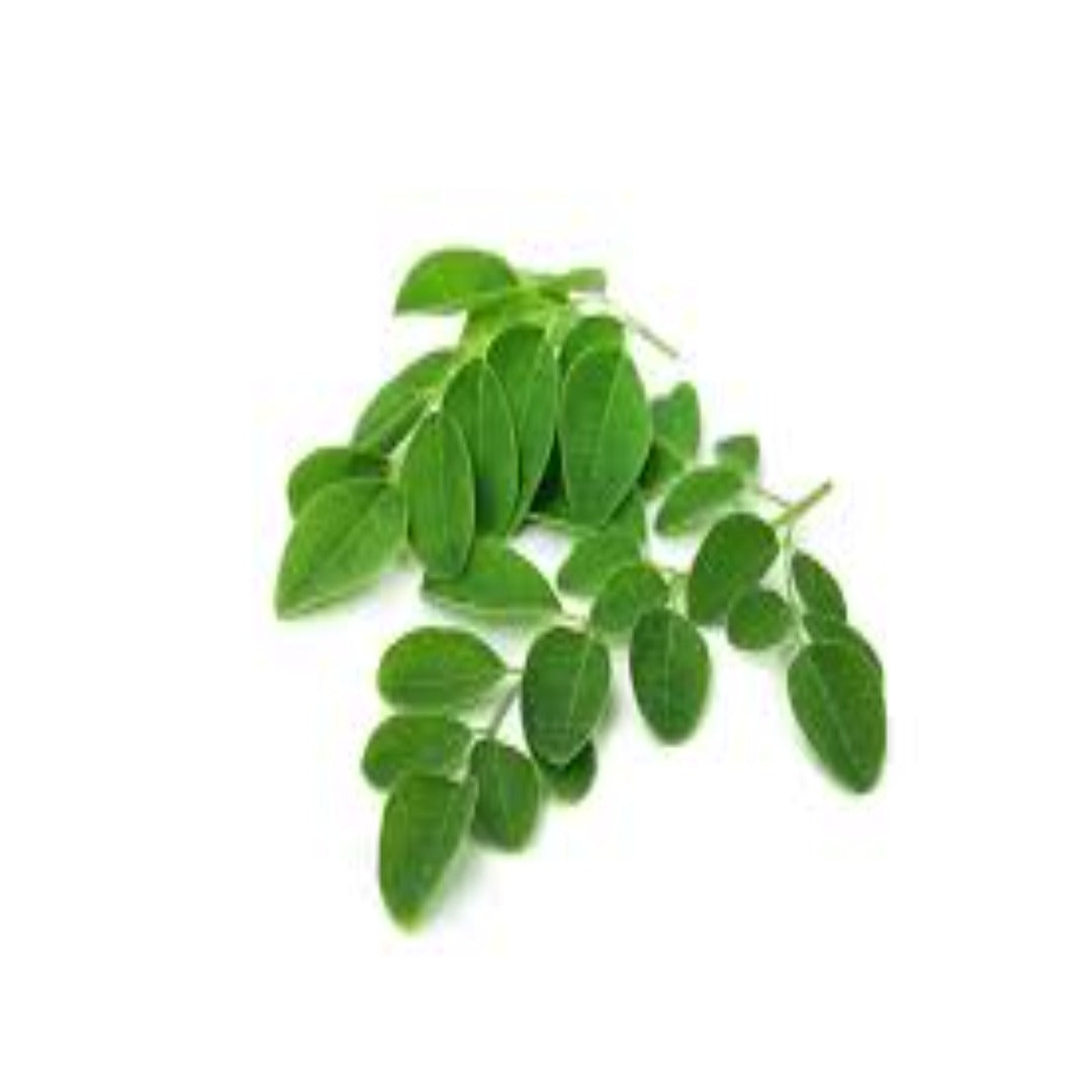 Buy Moringa Leaf Extract Online in India - The Art Connect