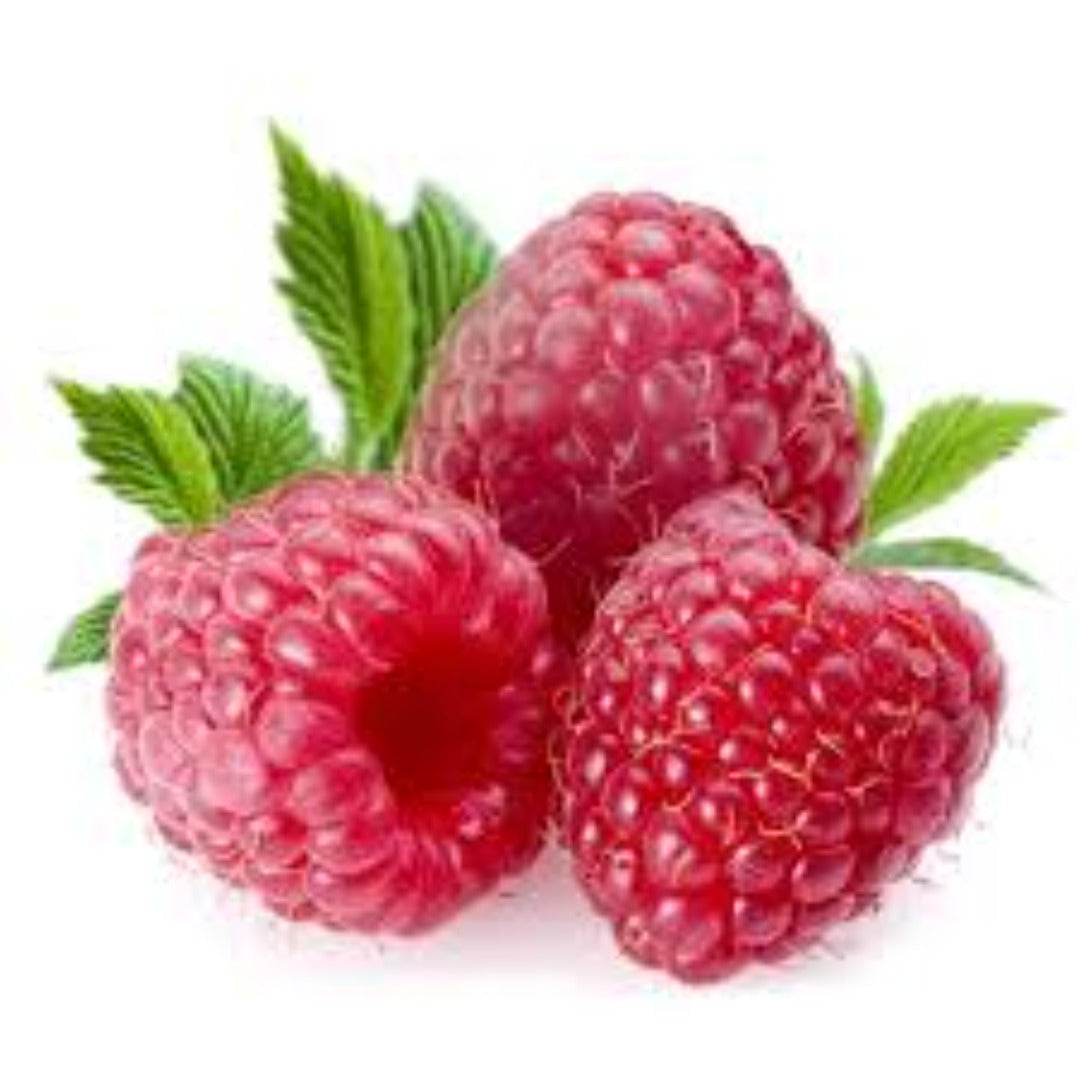 Buy Raspberry Extract Online in India - The Art Connect