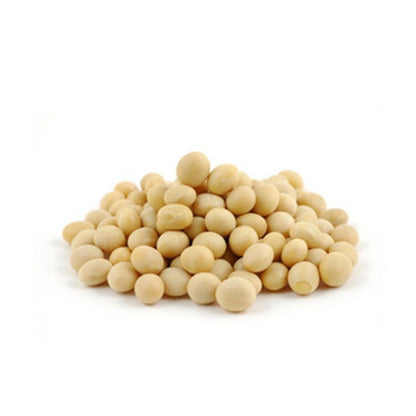 Buy Soy Squalane Online in India - The Art Connect