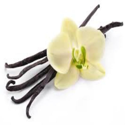 French Vanilla Fragrance Oil - Buy Cosmetic & Candle Fragrances / Scents / Perfumes Online in India - The Art Connect