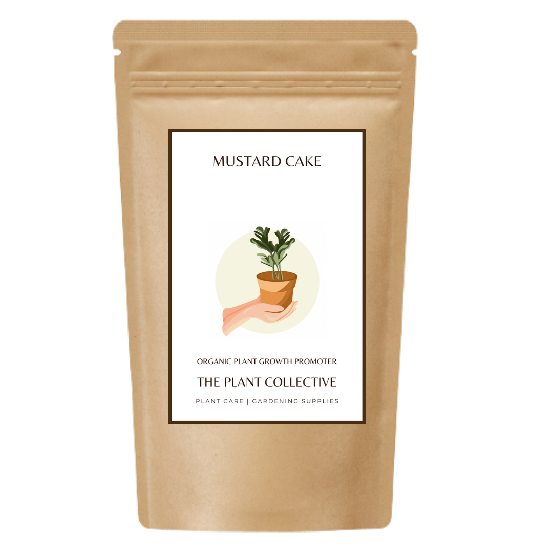 Buy Only For Organic Mustard Cake Powder-Natural and Organic Fertilizer for  Healthy Plant and Soil Online at Best Prices in India - JioMart.